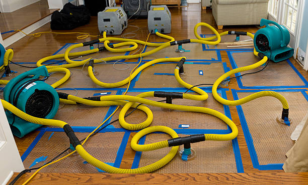 Professional Burst Pipe Water Damage technician working in Wittmann, AZ